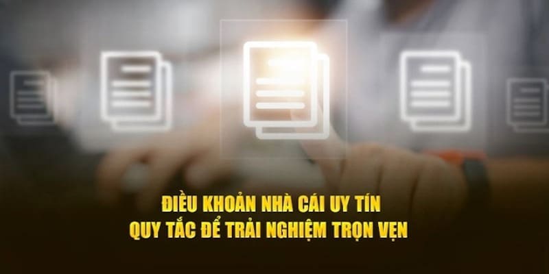 Điều khoản vi phạm nhà cái