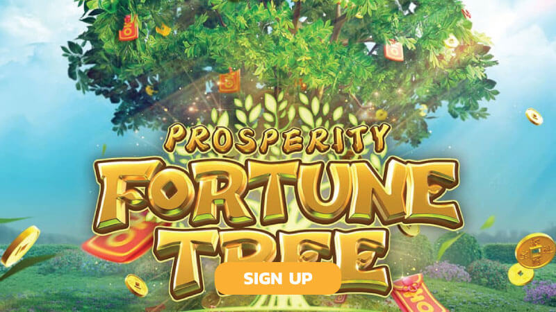 Game Tree of Fortune nổi tiếng từ nhà phát hành PG Điện Tử