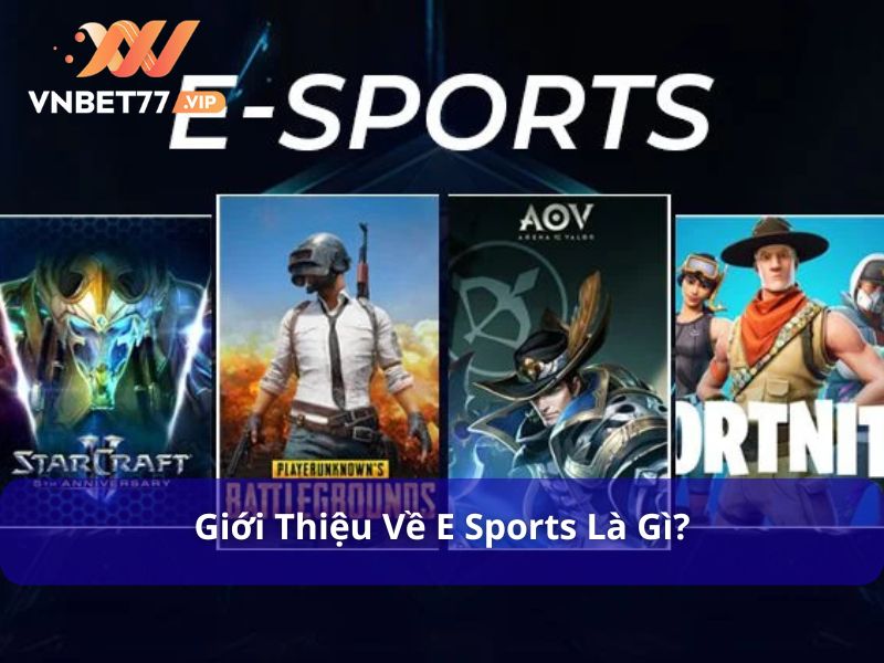 E Sports là sảnh chơi thể thao điện tử