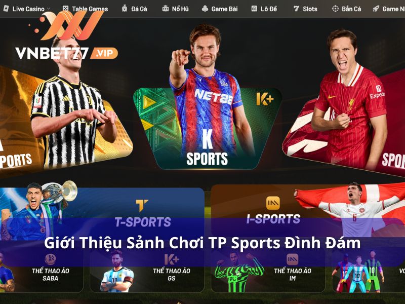 TP Sports Là Gì? Trải Nghiệm Sảnh Cược Thể Thao Hàng Đầu 2025 6 Giới thiệu sơ lược về sảnh chơi TP Sports