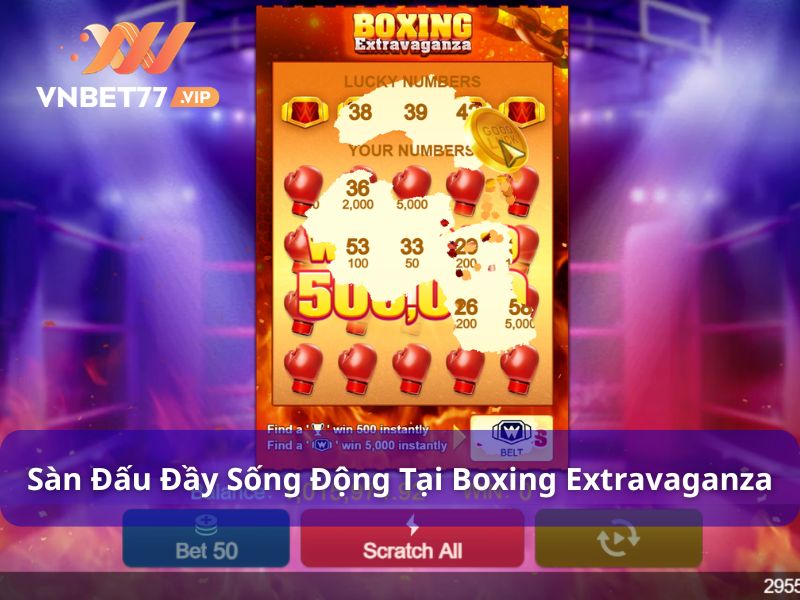 Trải nghiệm sàn đấu Boxing siêu sống động
