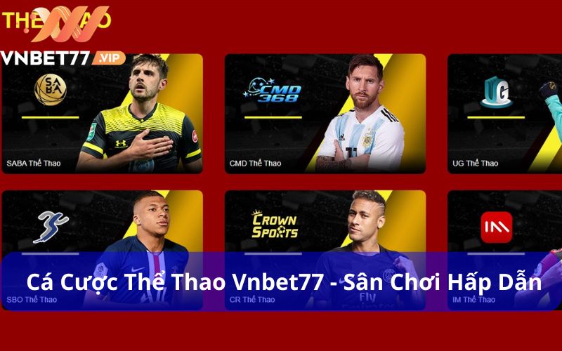 Cá cược thể thao Vnbet77 với đa dạng bộ môn